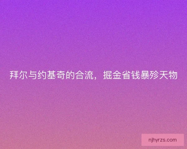 拜尔与约基奇的合流，掘金省钱暴殄天物